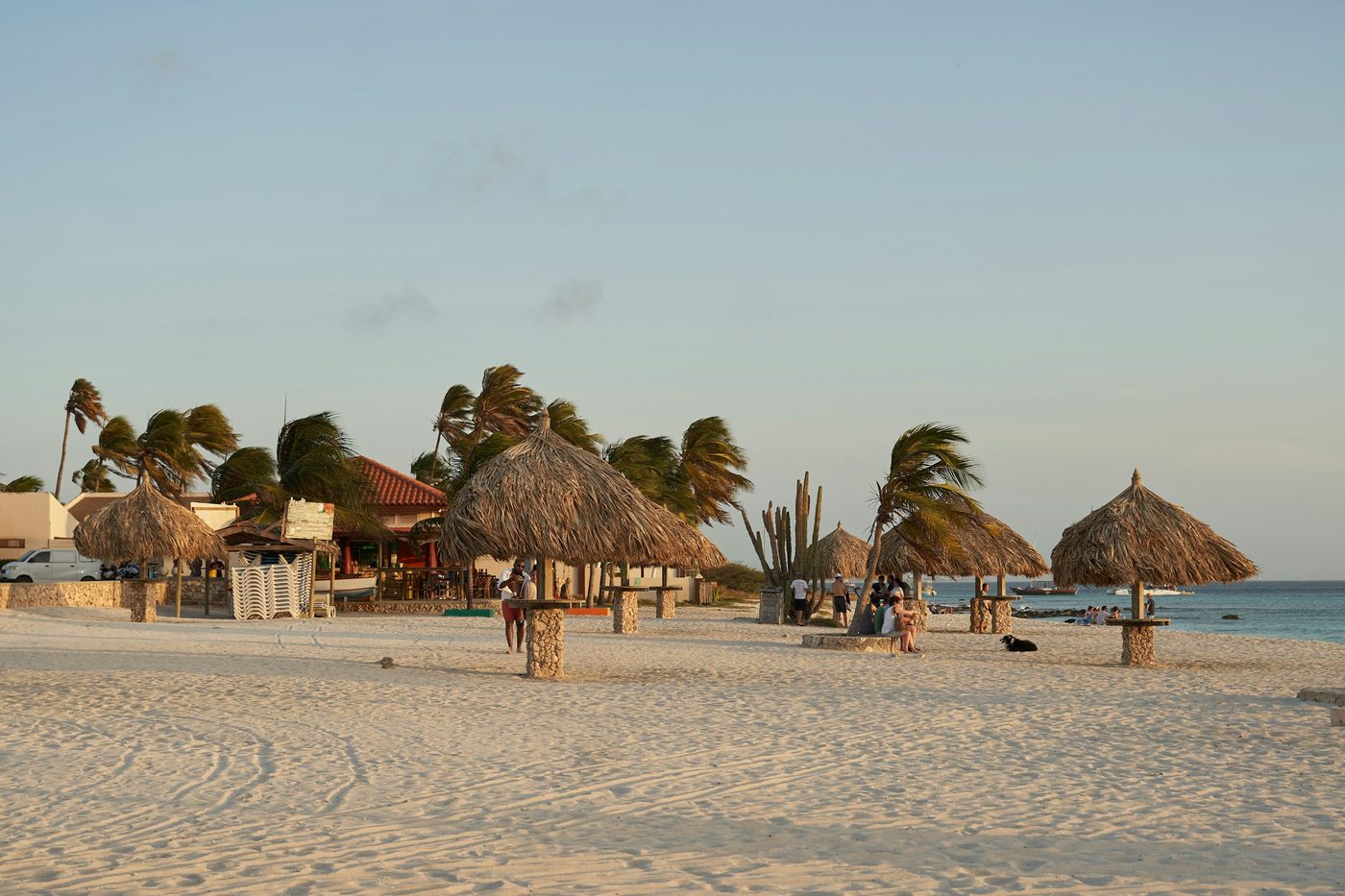 Playa Arashi en Aruba al atardecer, con palapas de paja y palmeras