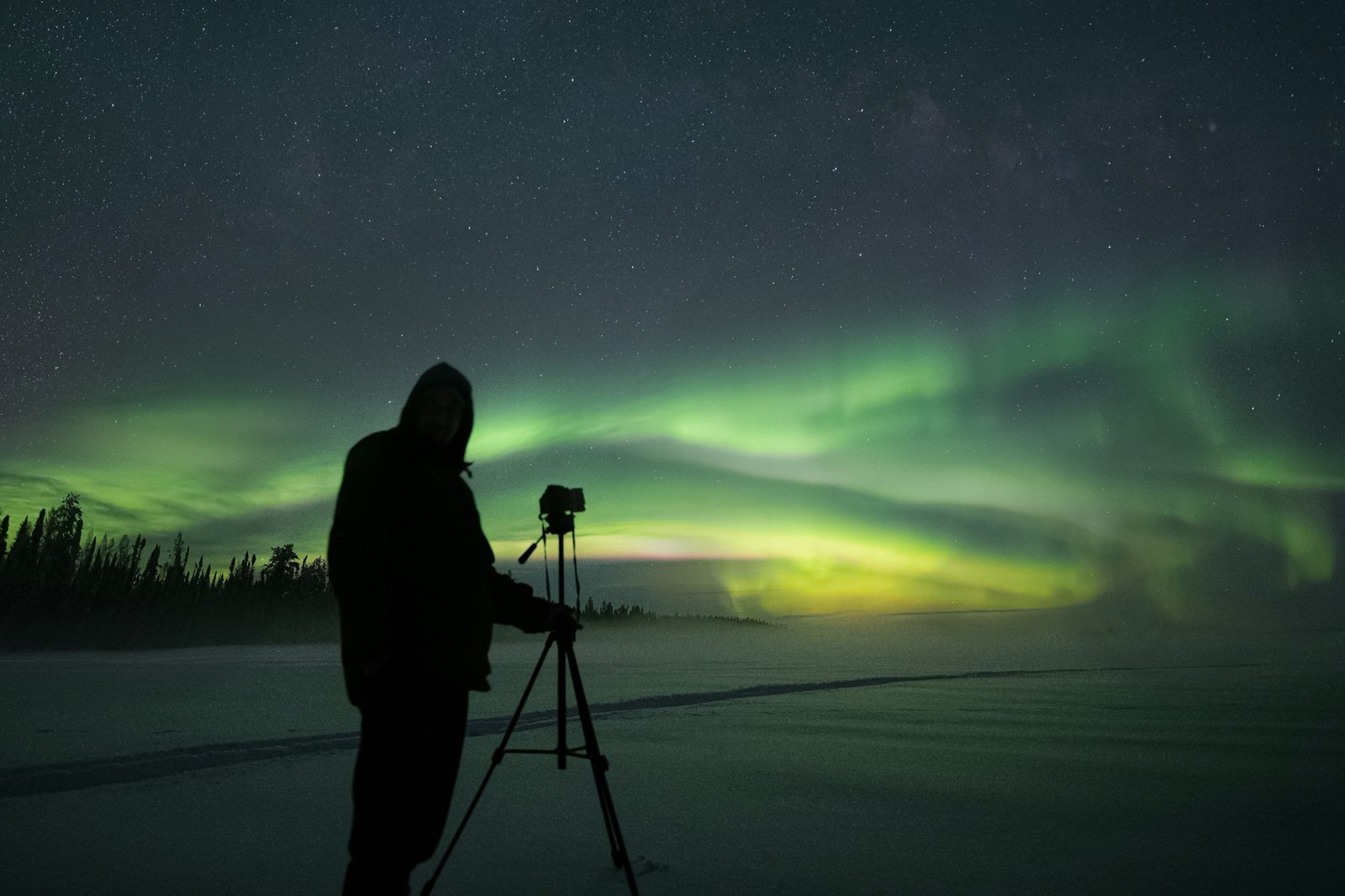 Silueta de una persona con una cámara en un trípode fotografiando una aurora boreal sobre un campo nevado