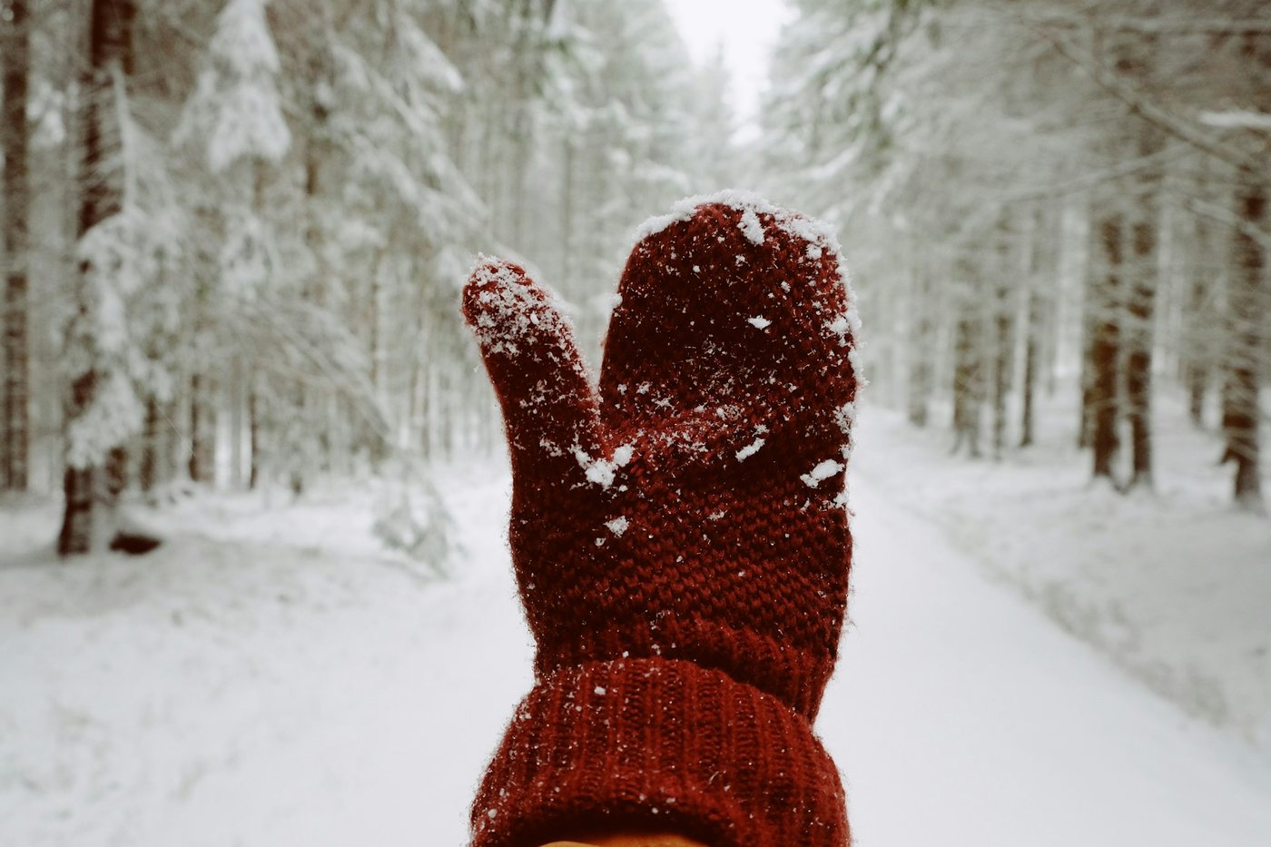 Mano con un mitón rojo de lana cubierto de nieve en un bosque nevado