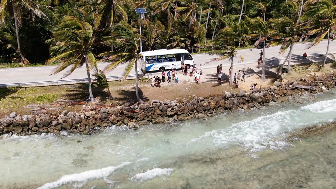 Bus de tour parado en la carretera circunvalar de San Andrés, entre palmeras y el mar