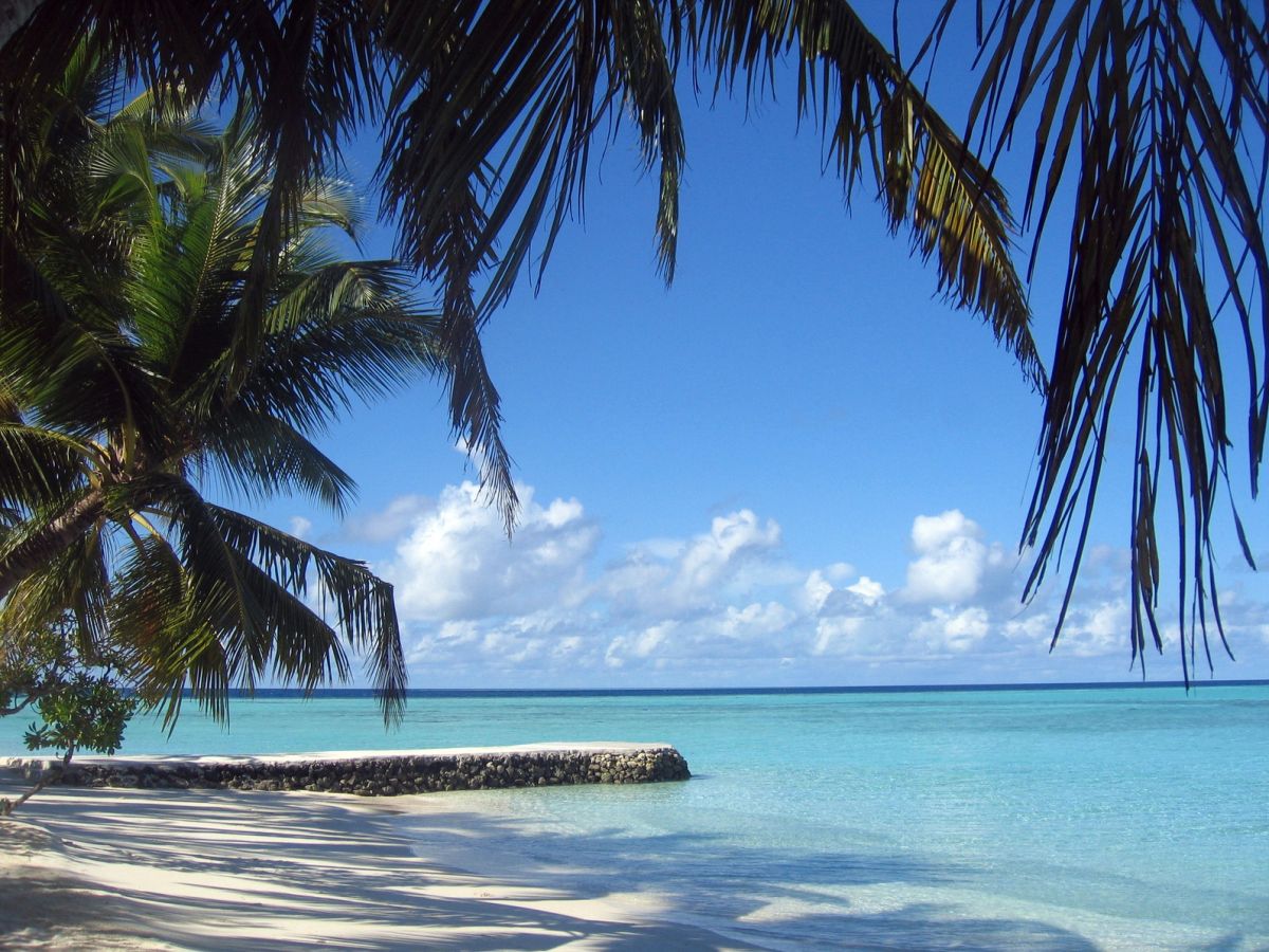 Playa caribeña de arena blanca