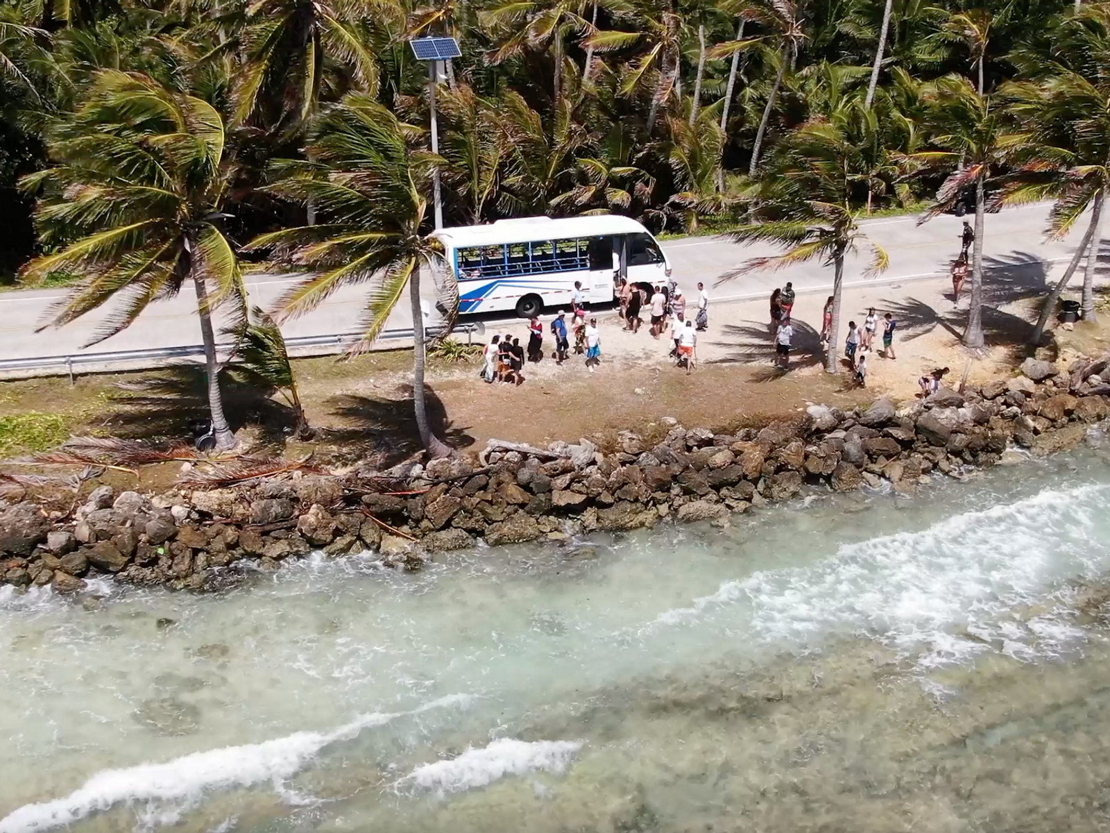 El bus del tour parado en la carretera circunvalar, entre palmeras y el mar