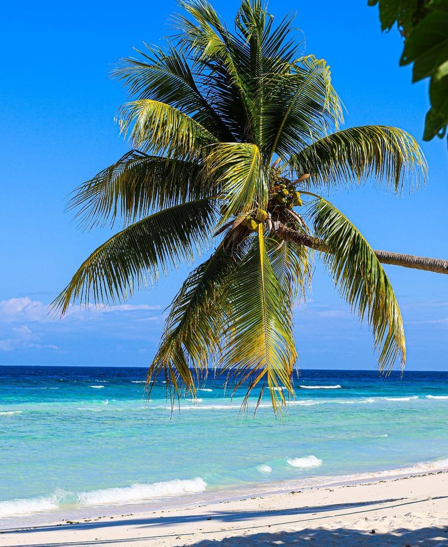 Playa de Bloody Bay, Negril